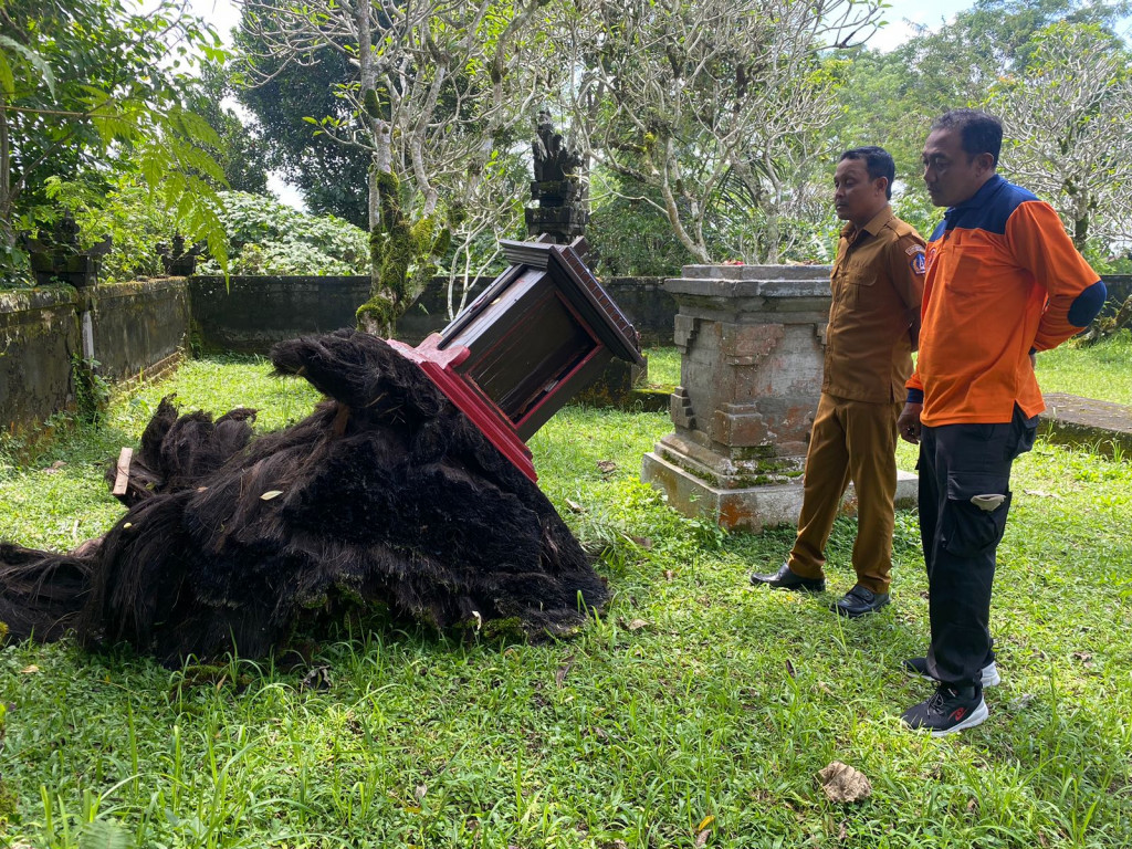 Pelinggih Roboh di Banjar Nungnung, Desa Pelaga, Kecamatan Petang Tanggal 04 Maret 2024